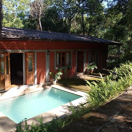 Tea Leaf Retreat Apartment Канди Екстериор снимка