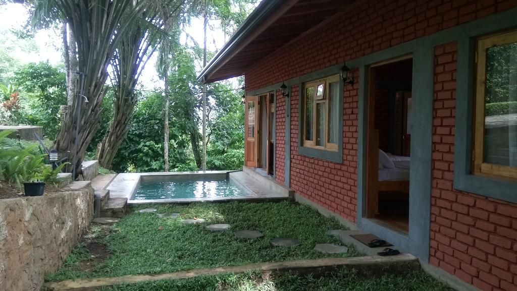 Tea Leaf Retreat Apartment Канди Екстериор снимка